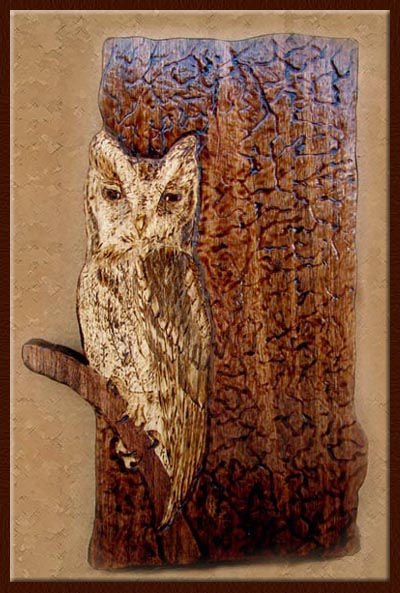 flammulated owl  tanja sova pyrography 